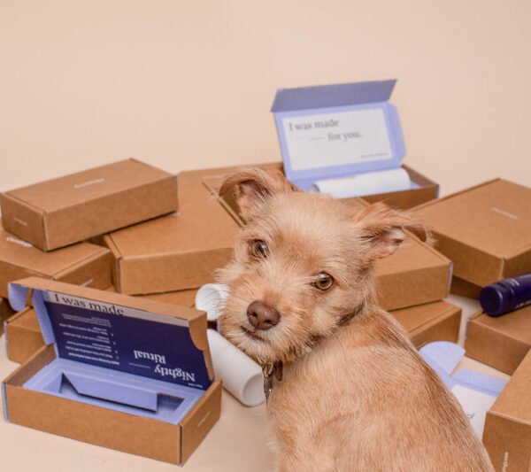 seguimiento de pedido